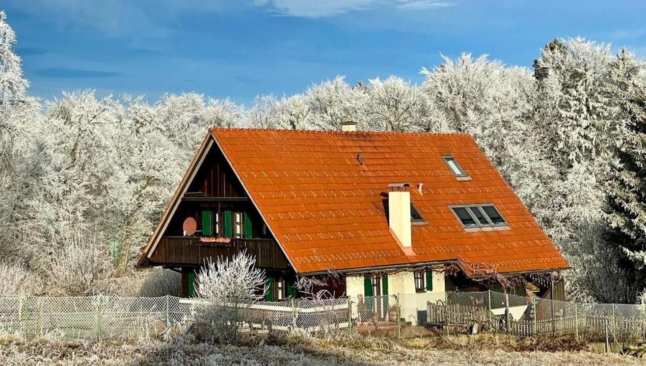 Ferienhaus Neubauer Spielfeld Exterior foto